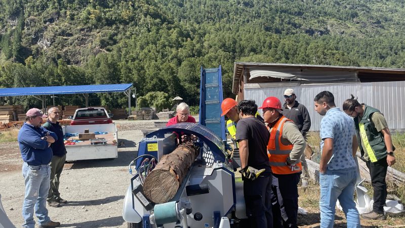 Programa de Dendroenergía de CONAF incentiva desarrollo sostenible del bosque