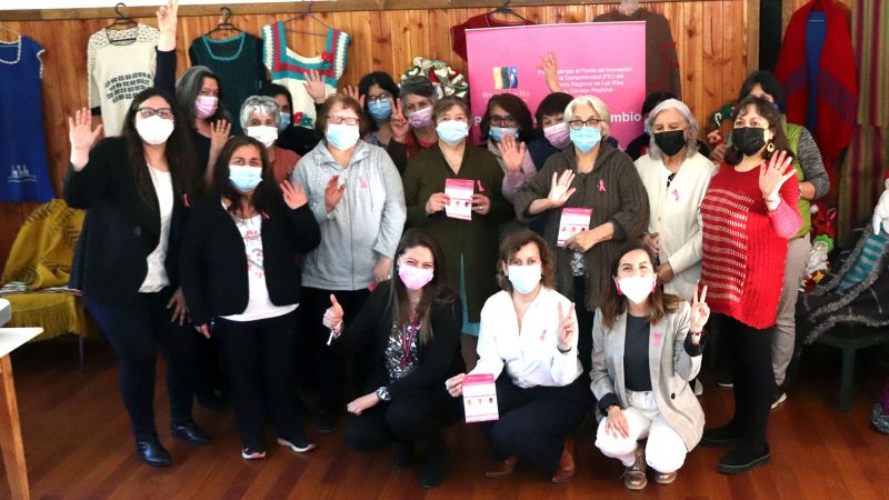 Mujeres de Los Lagos y Valdivia participan en charla sobre prevención y sensibilización del cáncer de mamas