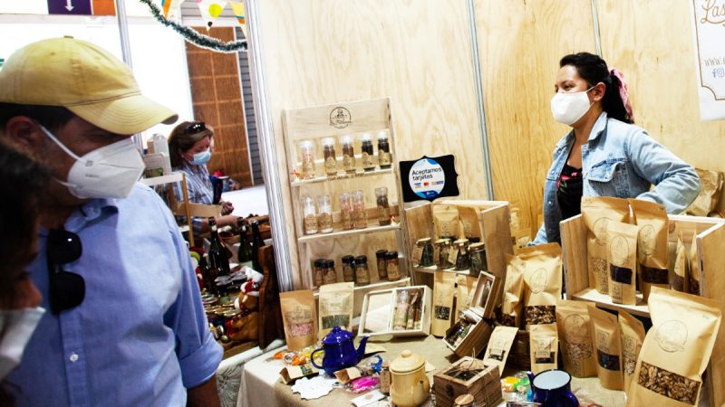 Valdivia: hoy viernes parte la Expo Muniemprende Invierno en el Parque Saval
