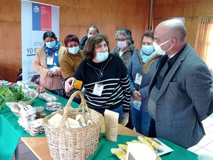 Organización de mujeres de Máfil potenciará trabajo asociativo con FOSIS