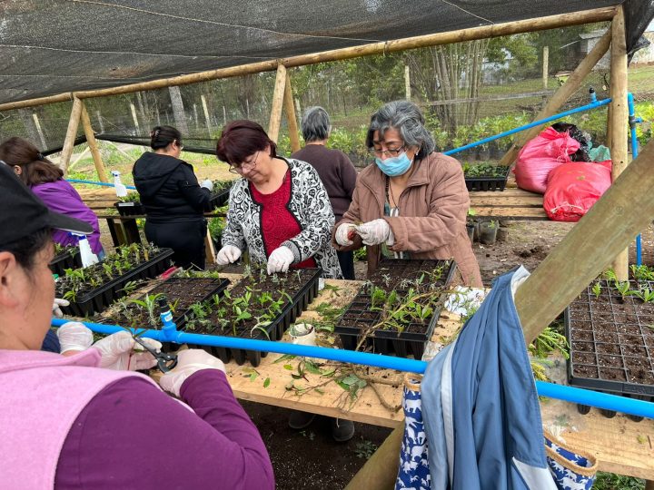 Realizan Taller de Plantas en vivero municipal de Trumao