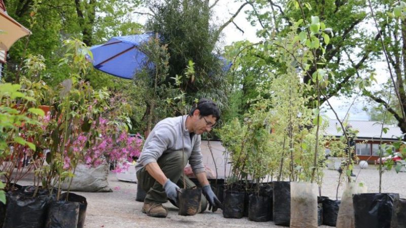 Expo Primavera vuelve al Parque Saval tras tres años de ausencia