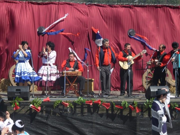 Malalhue apuesta por poner en valor creación literaria y música de su territorio