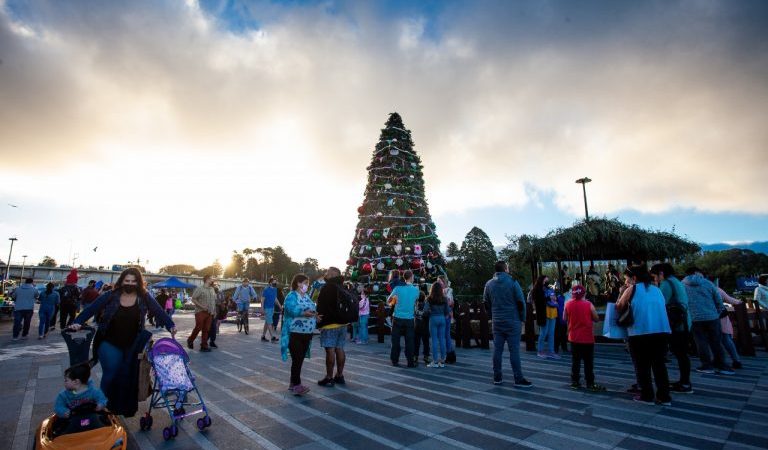 Comienzan actividades navideñas en Valdivia: realizarán expo y tradicional encendido del árbol