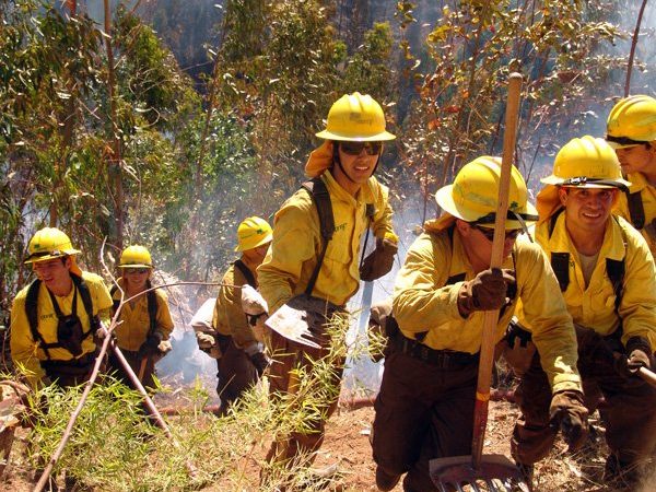 Llaman a la prevención de incendios forestales ante alerta por altas temperaturas 