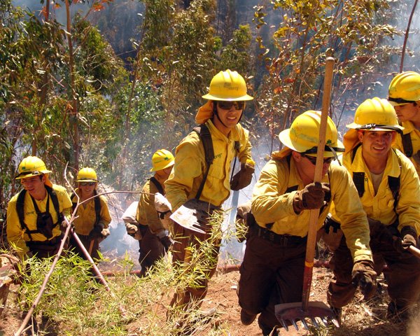 Llaman a la prevención de incendios forestales ante alerta por altas temperaturas 