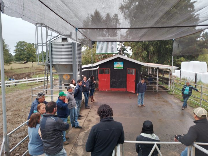 Cambio Climático: agricultores de Los Ríos conocen medidas para mejorar producción lechera 