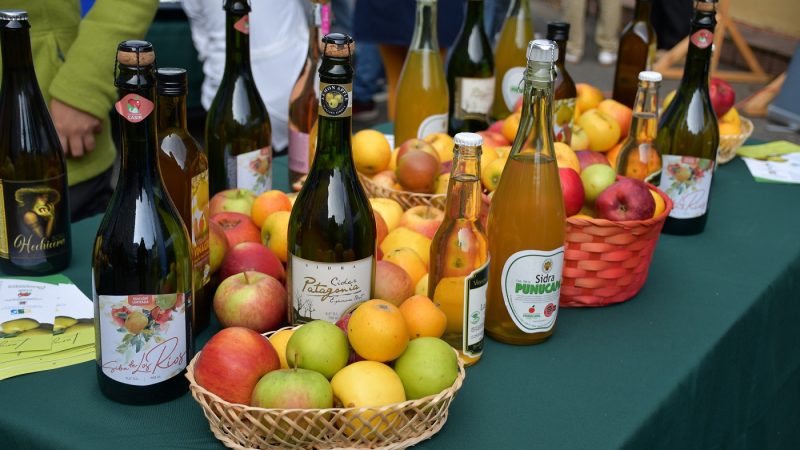 Implementan alta tecnología para productores de manzana de Los Ríos 