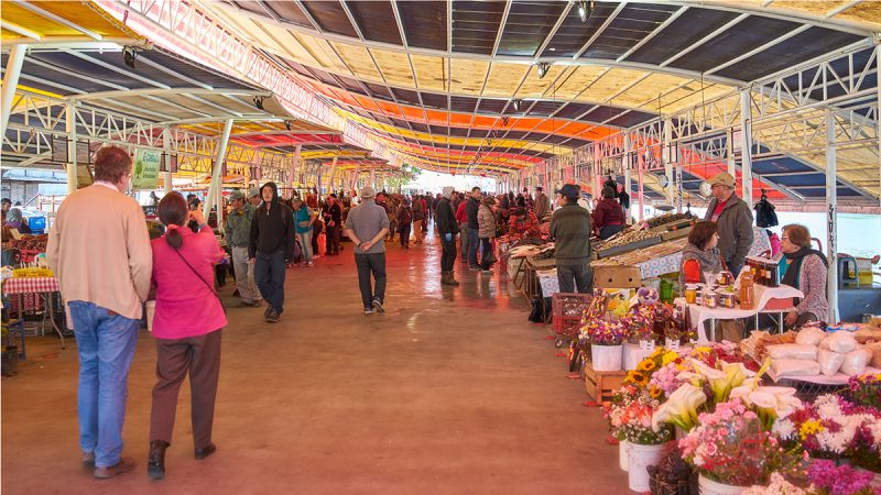 Municipalidad anunció trabajos de mejora en la feria fluvial de Valdivia