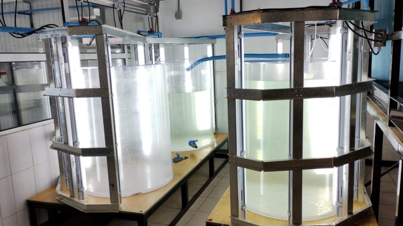 En Mehuín mañana se inaugura mañana primer hatchery acuícola en la región Sur