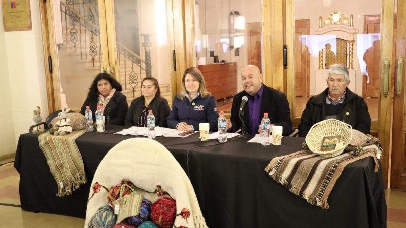 Todo listo para la 7° versión de Expo Tejidos Los Ríos 2023 