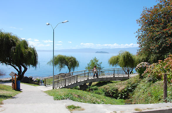 Agrupación de Lago Ranco finaliza con éxito proyecto de alfabetización digital