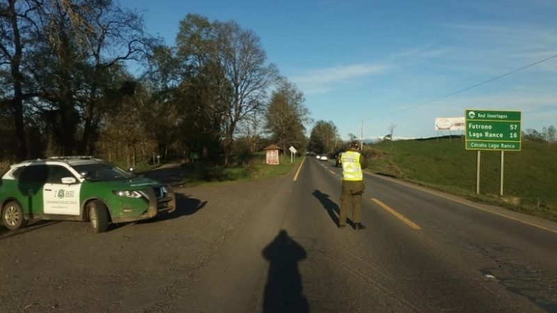 Balance de Fiestas Patrias: en 62,5% disminuyeron los accidentes de tránsito en Los Ríos
