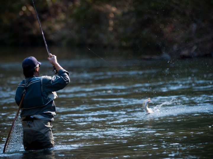 Comenzó la temporada de pesca recreativa